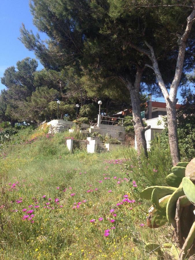 Villa Enzo Monopoli Exteriör bild