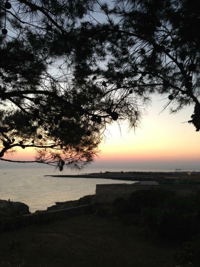 Villa Enzo Monopoli Exteriör bild