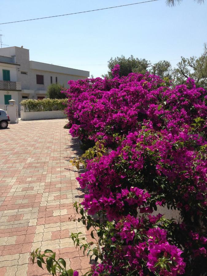 Villa Enzo Monopoli Exteriör bild