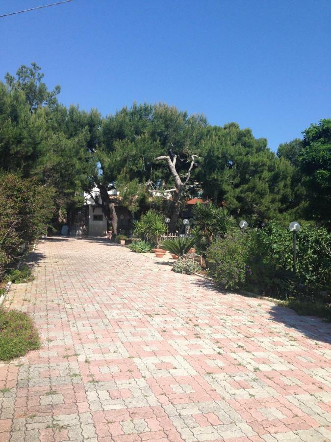 Villa Enzo Monopoli Exteriör bild